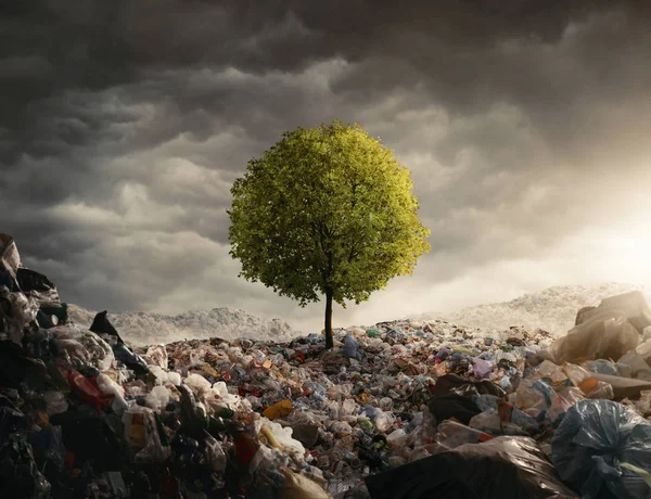 Atık Yönetimi